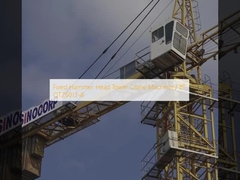 固定ハンマーヘッドタワークレーン機械 8T QTZ6013-8